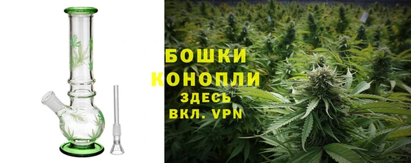 сатива Баксан
